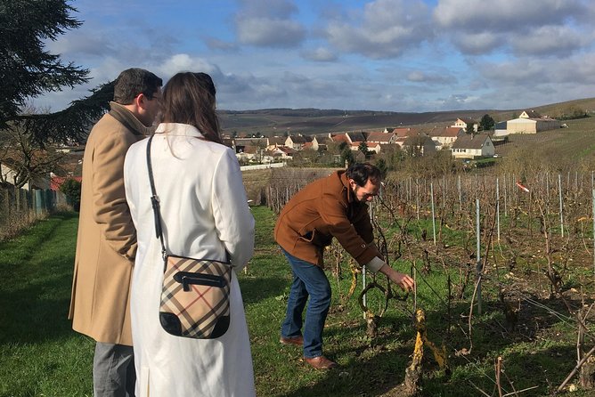 Vineyard Walking Tour & 2 Champagnes Tasting - Good To Know