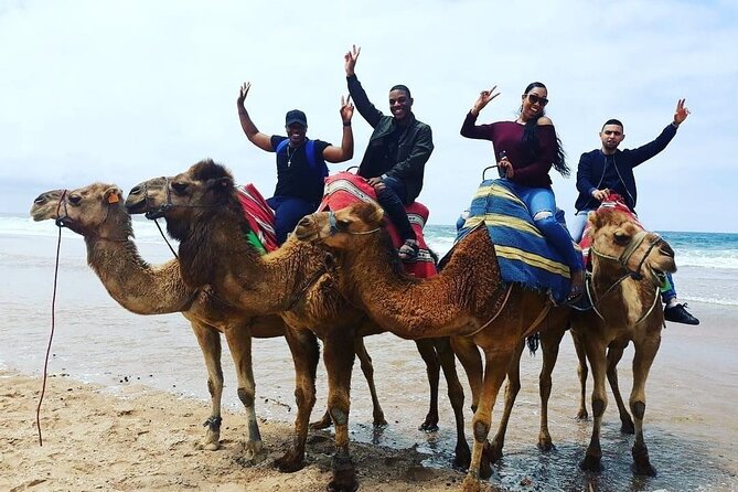 Vip Full Day Private Tangier Tour From Malaga All Inclusive - Reservation and Cancellation Policies