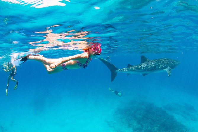 VIP Luxury Chartered Escapes, Exploring the Reef at Your Own Pace - Good To Know