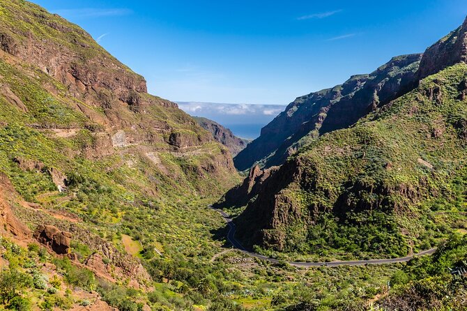 VIP Tour in Gran Canaria: Firgas, Tejeda, Guayadeque by Bus - Good To Know