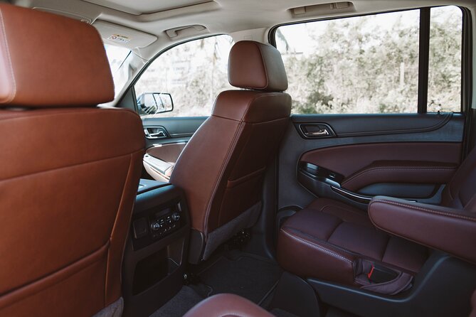 VIP Transfer Punta Cana Airport to Punta Cana & Bavaro Hotels (Not Uvero Alto) - Pricing and Booking Details