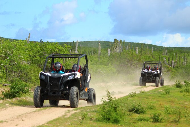Viper Trail UTV Small-Group Experience in Cabo San Lucas - Good To Know