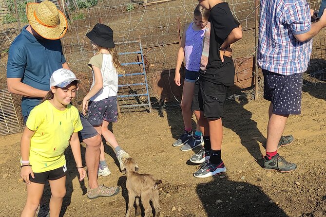 Visit a Goat Farm in a Village and Taste Local Flavours - Good To Know