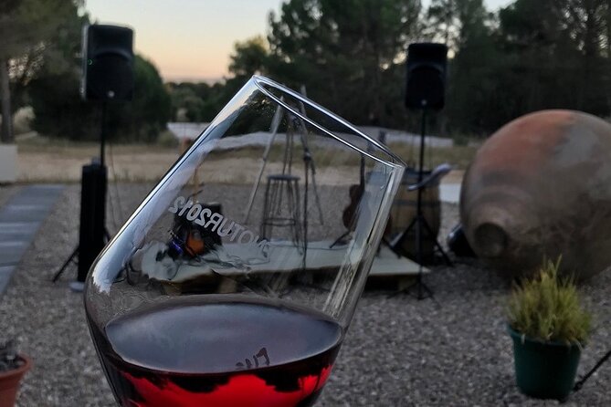 Visit and Wine Tasting at the Territorio Luthier Winery - Good To Know