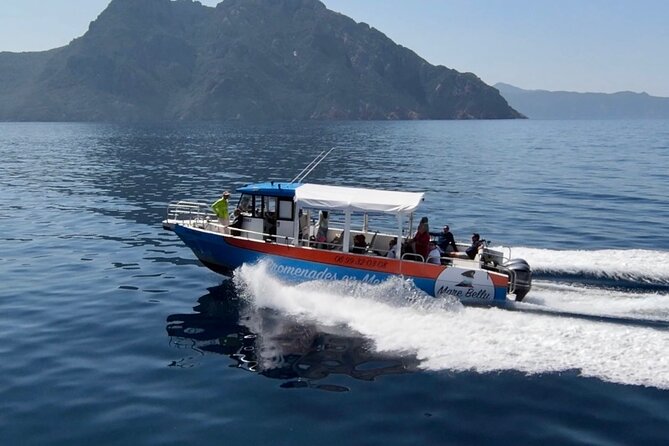 Visit by Boat to Piana Scandola With Swimming and a Stopover at Noon in Girolata