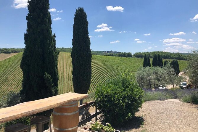 Visit Of The Chianti Classico And The Tuscan Countryside - Good To Know