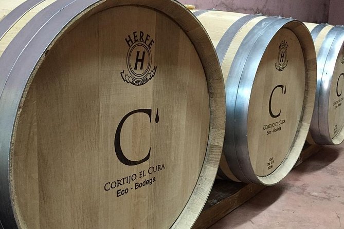 Visit to Eco Winery Cortijo El Cura and Wine Tasting in English