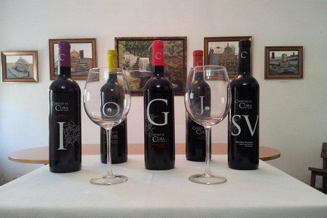 Visit to Eco Winery Cortijo El Cura and Wine Tasting in English