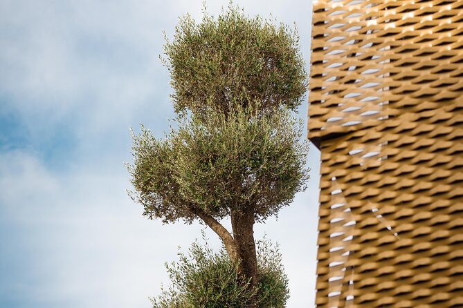 Visit to the Oil Mill With Extra Virgin Olive Oil Tasting - Pricing and Value
