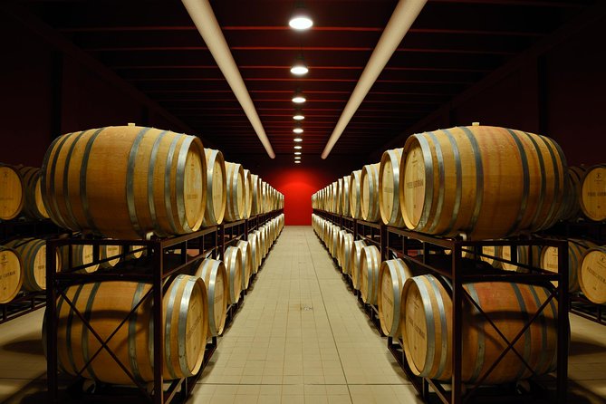 Visit to the Podere Castorani Winery and Wine and Food Tasting
