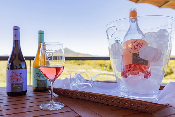 Visit to the Winery With Wine Tasting and Appetizers in Navarra