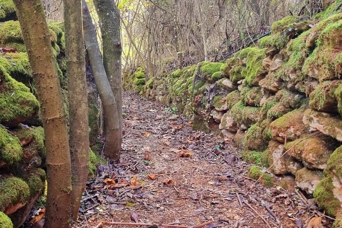 Visita a Pie Los Fiordos Y El Bosque Encantado De Hornachuelos
