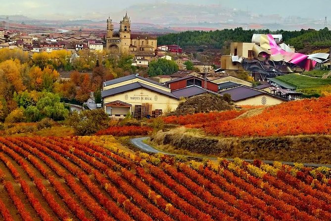 Vitoria Guided Tour With Rioja Winery Visit From Bilbao