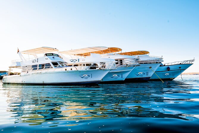 Viva Egypt Hurghada Paradise Island & Lunch & Water Sports 3*1 - Good To Know
