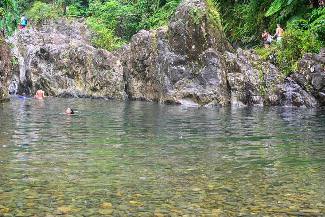 Vivid El Yunque Rain Forest Day Tour With Door-To-Door Transport