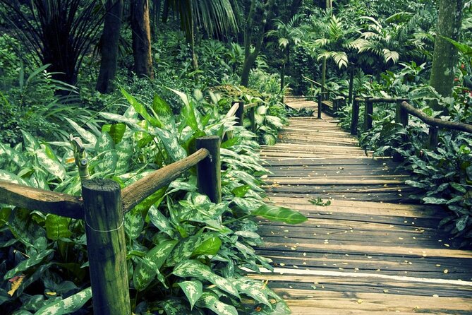 Vuda Lookout, Vesisei Village, Market, Temple & Garden of Sleeping Giant Tour - Good To Know