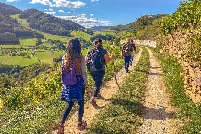 Wachau World Heritage Hike - Good To Know