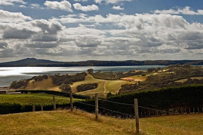 Waiheke Island Art Walk