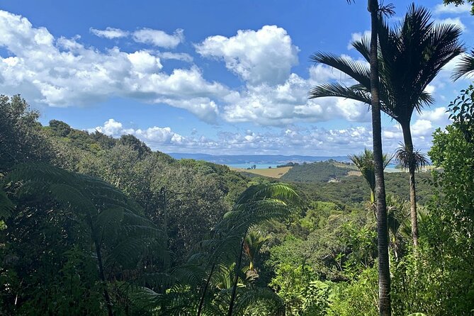 Waiheke Island Private Bush and Beach Walk - Good To Know