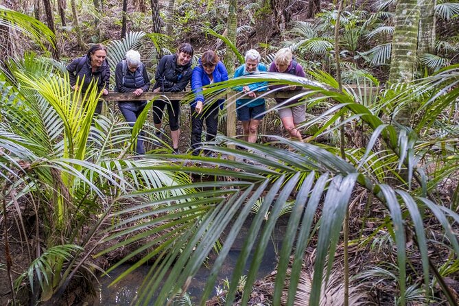 Waiheke Island Private Forest Therapy Walk - Good To Know