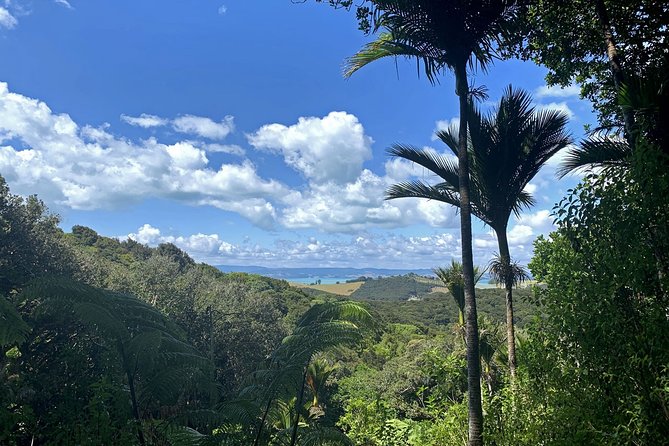 Waiheke Island Private Freedom Te Ara Hura Walk - Good To Know