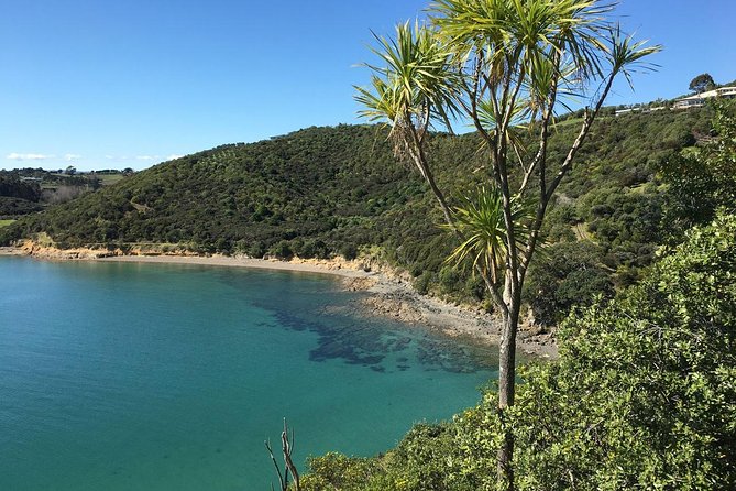 Waiheke Island Private Guided Te Ara Hura Walk