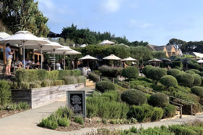 Waiheke Island Vineyards and Bush Walk - Good To Know