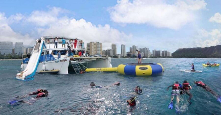 Waikiki: 5-In-1 Turtle Snorkeling Trip With Transfer - Good To Know
