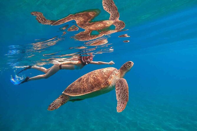 Waikiki Catamaran Cruise and Snorkeling - Oahu