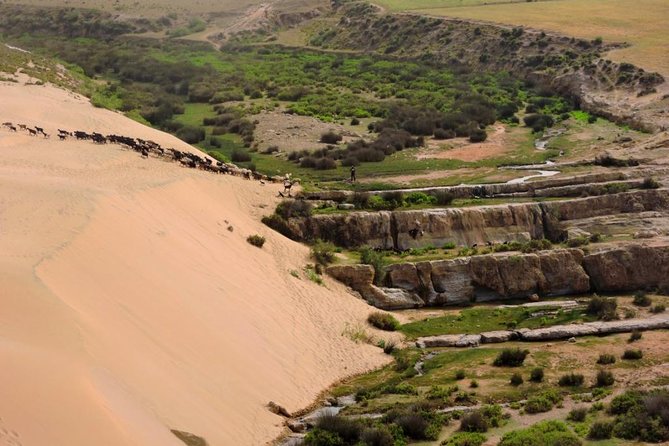 Walk Between Argan Forest, Ocean & Waterfalls.