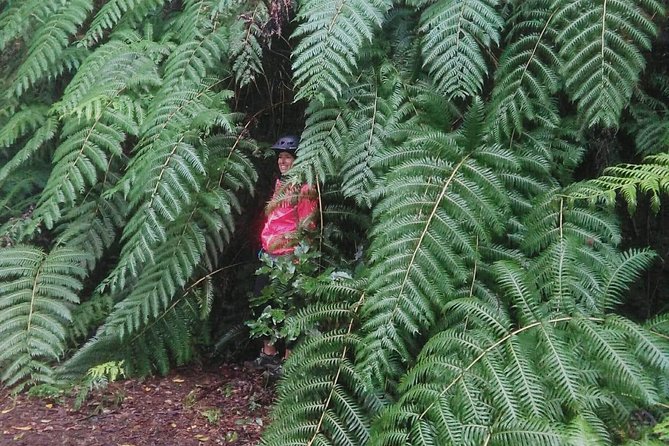 Walk Through the Garajonay National Park  - La Gomera - Good To Know