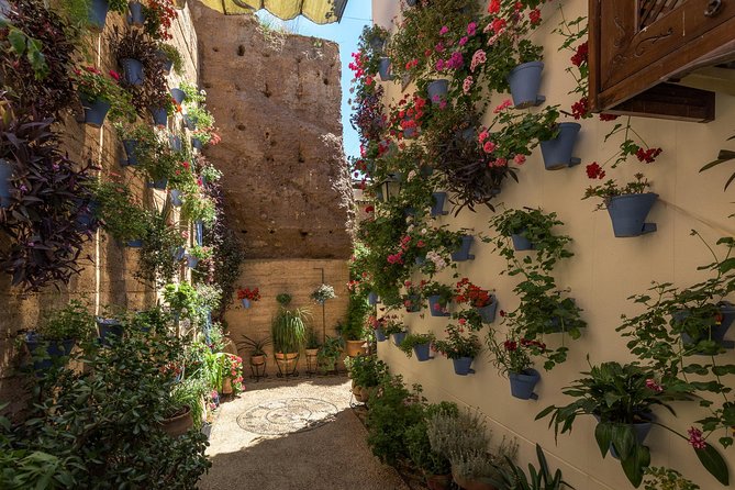 Walking Tour of the Patios of San Basilio in Cordoba - Good To Know