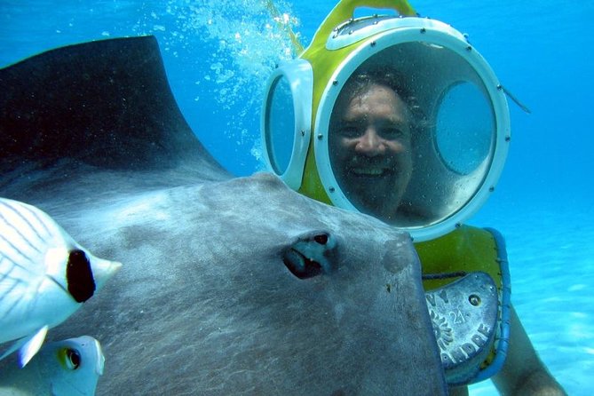 Walking Under the Sea in Moorea - Traveler Experience Highlights