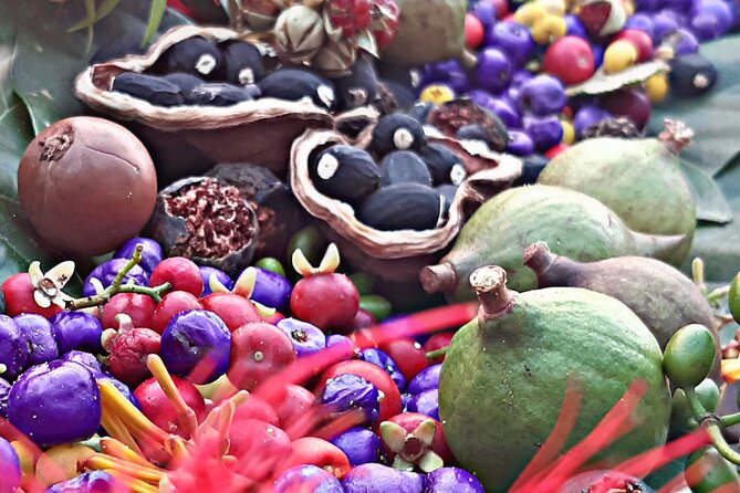 Wangari Dreaming Bush Tucker Tour - Good To Know