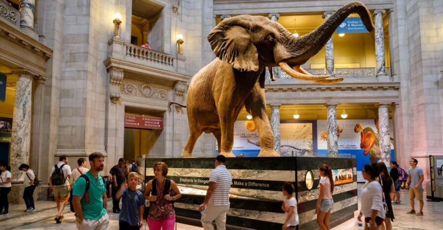 Washington DC: Museum of Natural History Private Guided Tour - Good To Know