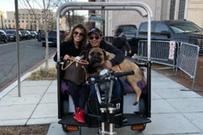 Washington DC Private Half-Day Pedicab Sightseeing Tour - Pricing and Booking