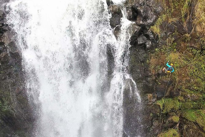 Waterfall Rappelling at Kulaniapia Falls: 120 Foot Drop, 15 Minutes From Hilo