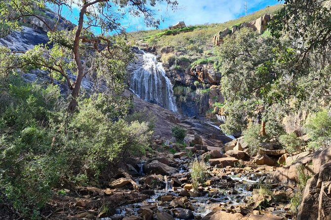 Waterfalls, Wildflowers & Wandoo Hiking Experience - Good To Know