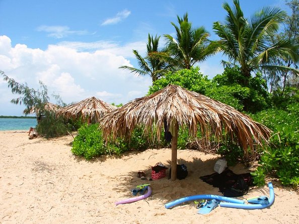 8 Best Sailing Experiences In Port Douglas