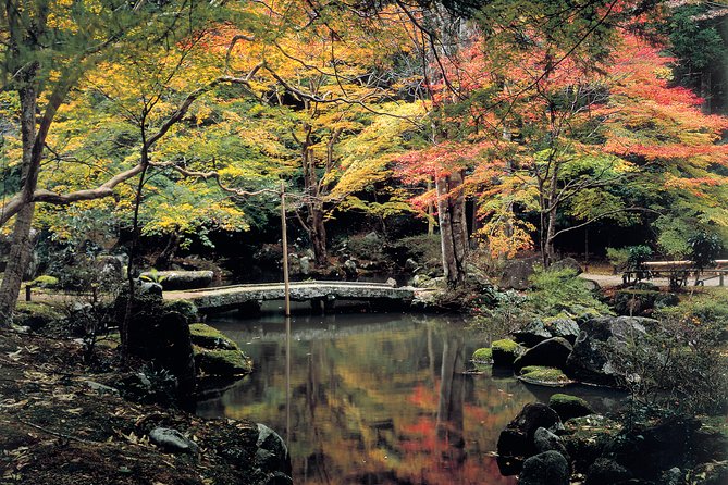 WE LOVE SHINRIN-YOKU Tour (1-Day)