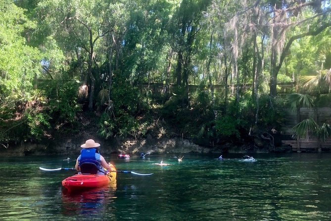 Wekiva River Guided Kayak Tour - Good To Know