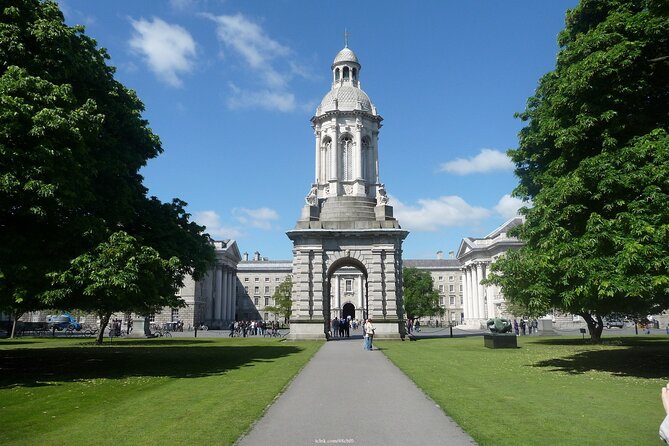 Welcome to Dublin: Private 2.5-hour Introductory Walking Tour - Cultural Insights
