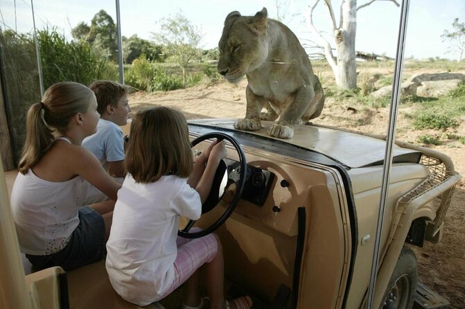 Werribee Open Range Zoo Early Morning Savannah Experience - Overview and Inclusions
