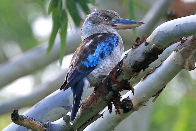West Coast 4WD Eco Bus Tour