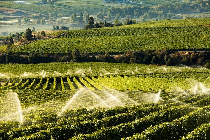 West Kelowna Wine Tour – Classic – 6 Wineries