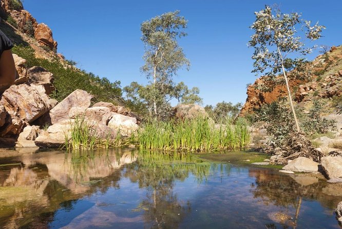 5 Best Guided Tours In Alice Springs