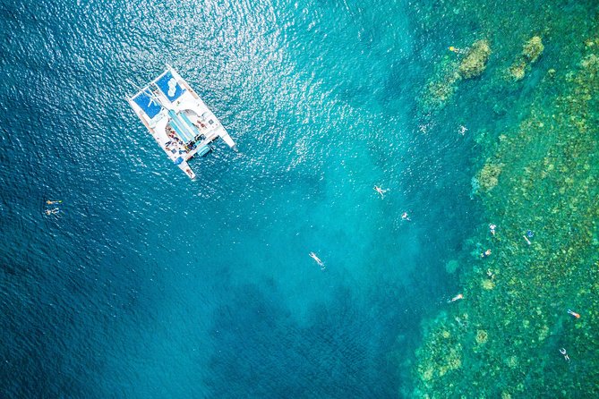 West Maui Half Day Snorkel From Ka'Anapali Beach - Good To Know