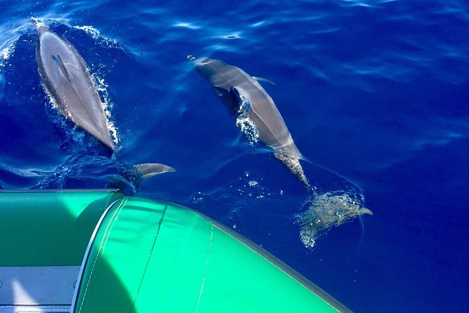 West Maui Snorkeling Experience by Boat From Kaanapali - Good To Know