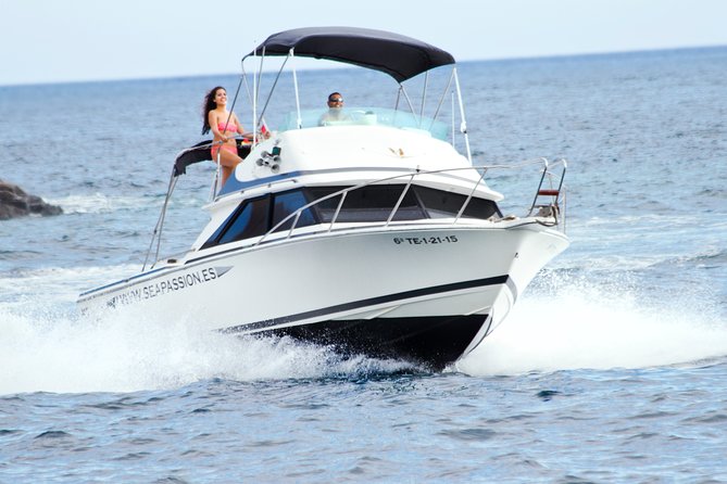 Whale and Dolphin Watching Tour Los Gigantes and Masca in Small Groups - Good To Know