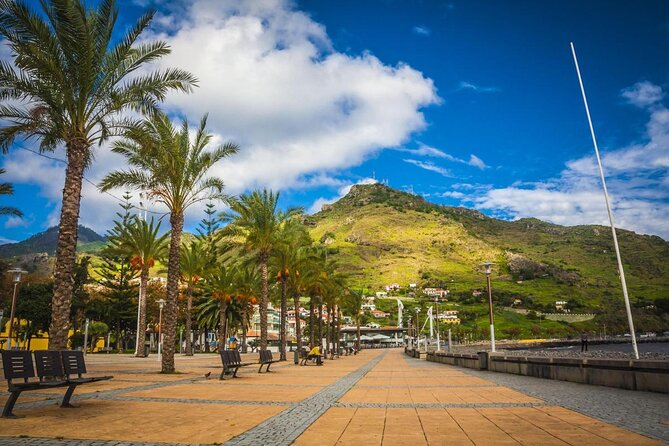 Whale & Dolphin Watching in Madeira